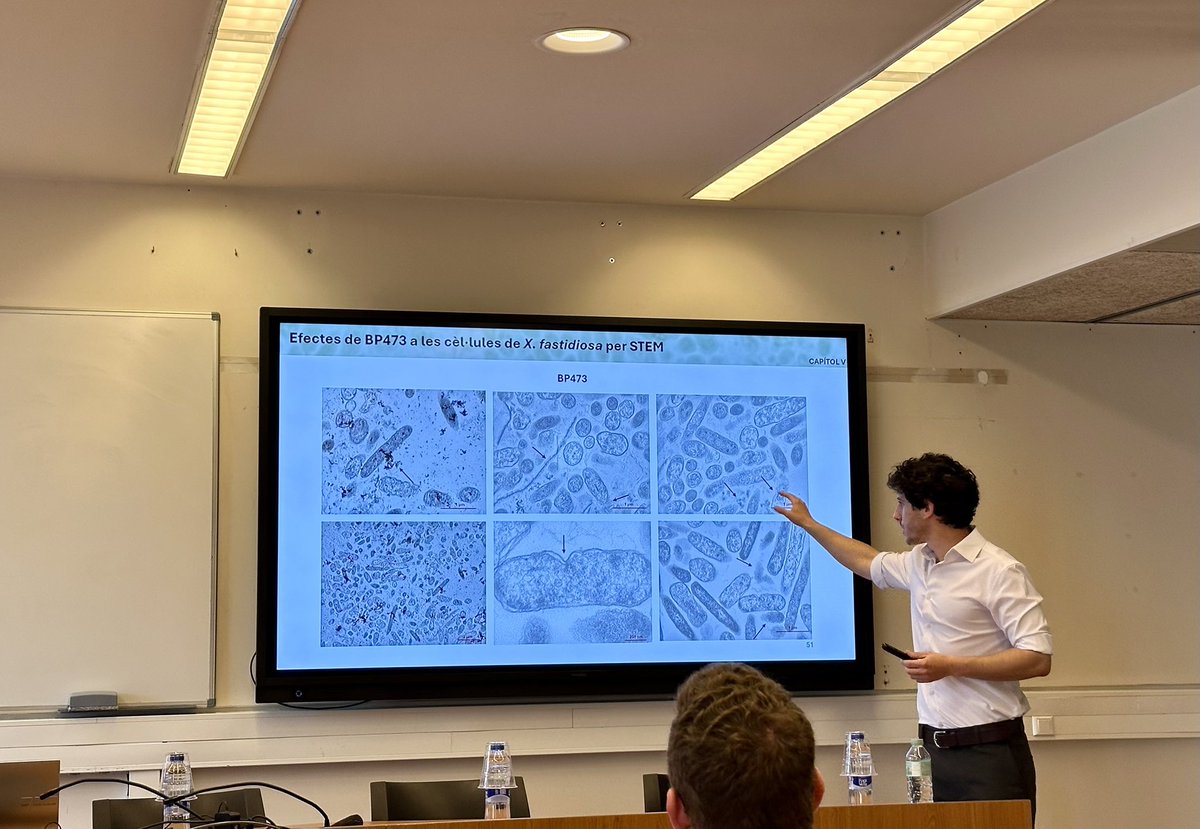 lepe de LePeus tweet media