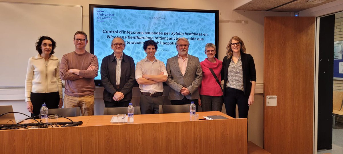 lepe de LePeus tweet media