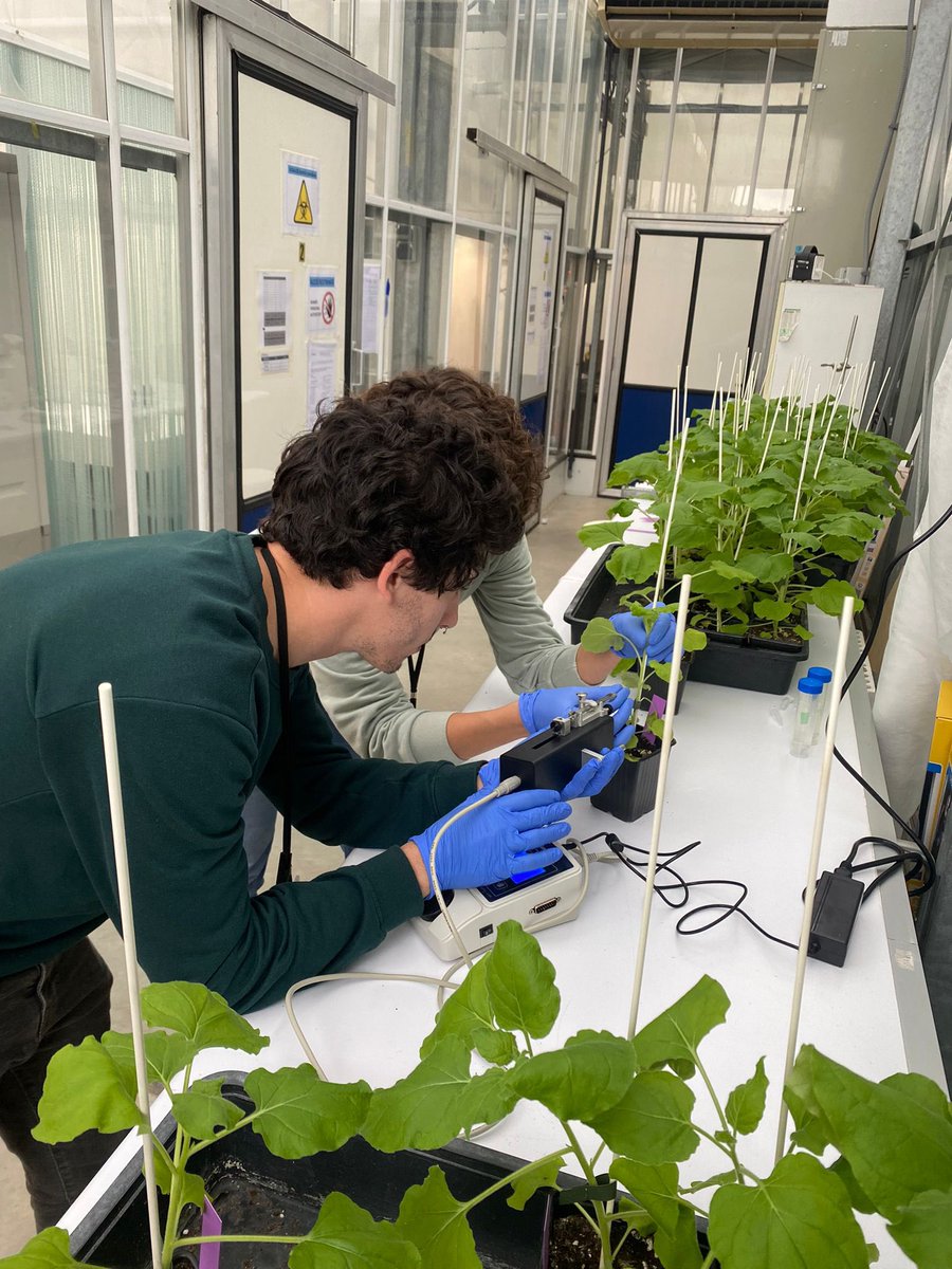 lepe de LePeus tweet media