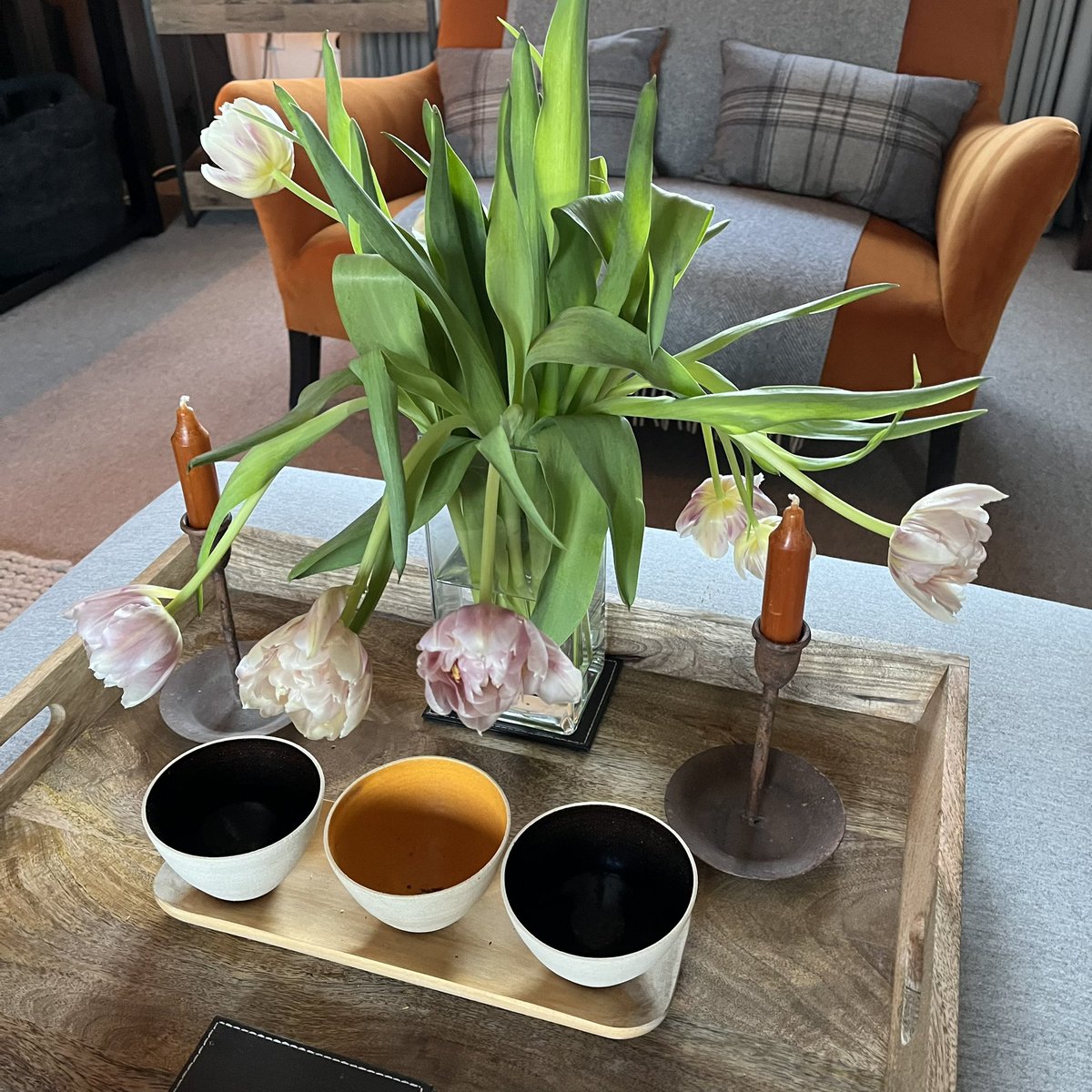 Gilbert🌈nJoe tweet media