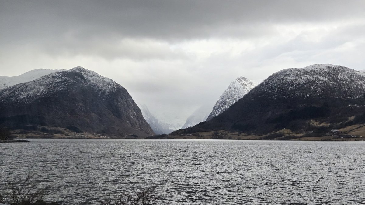 RexTheFox tweet media