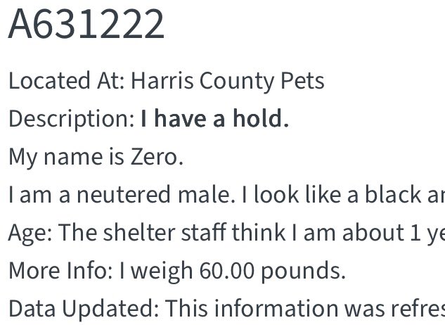 @PawsnTails4TX 🇺🇸🇺🇸🐾🐾 tweet media