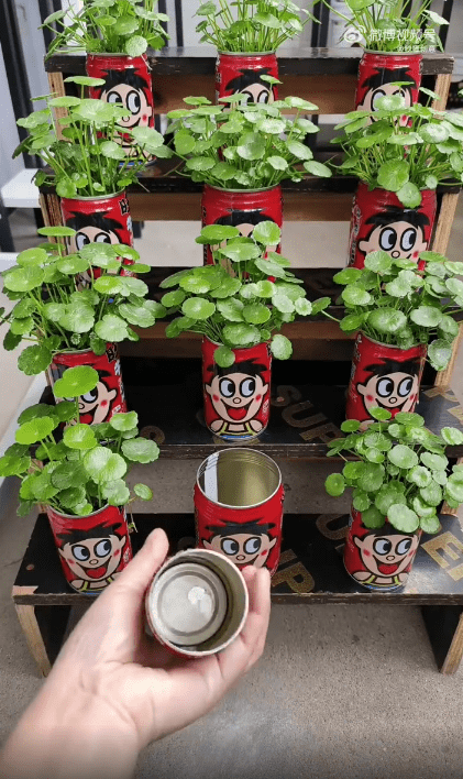 sophia gummy tweet media