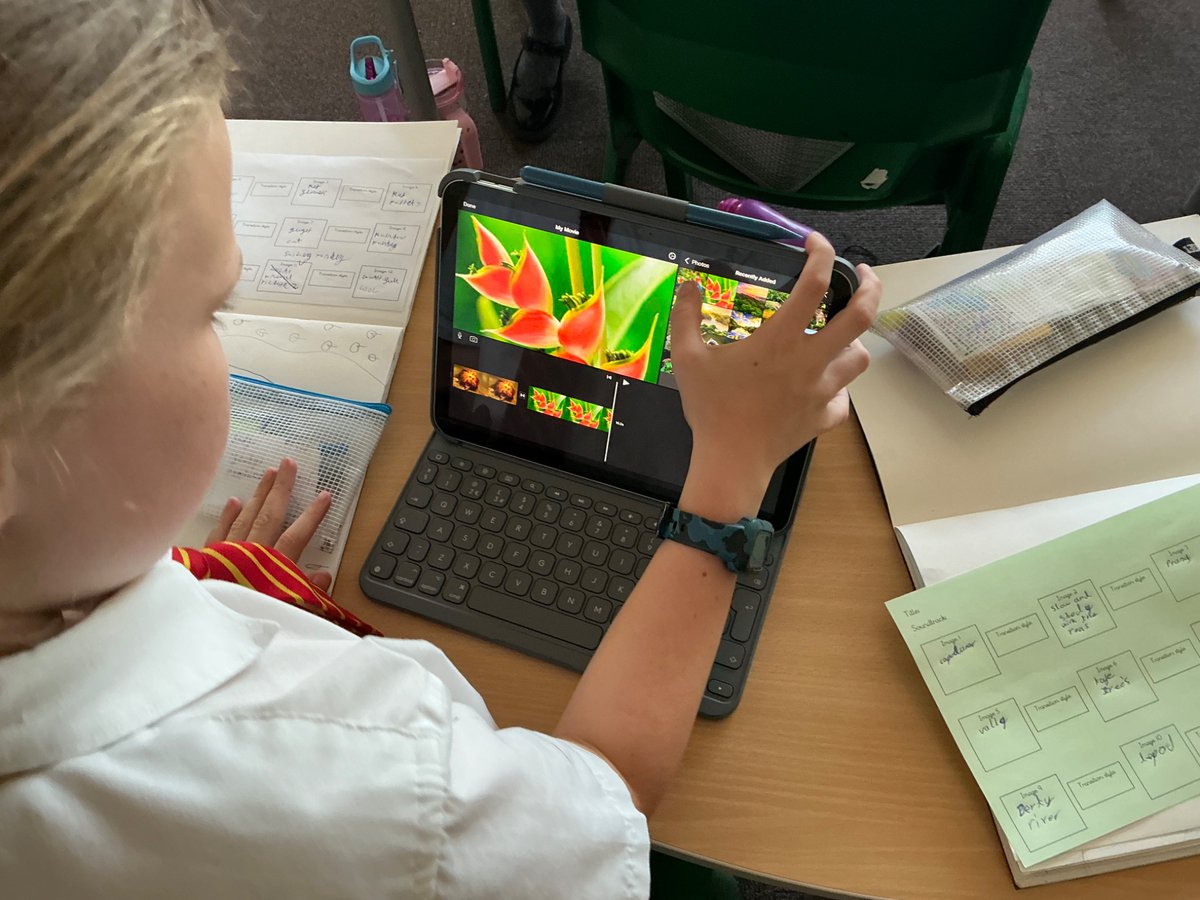 Pine Tree Class tweet media