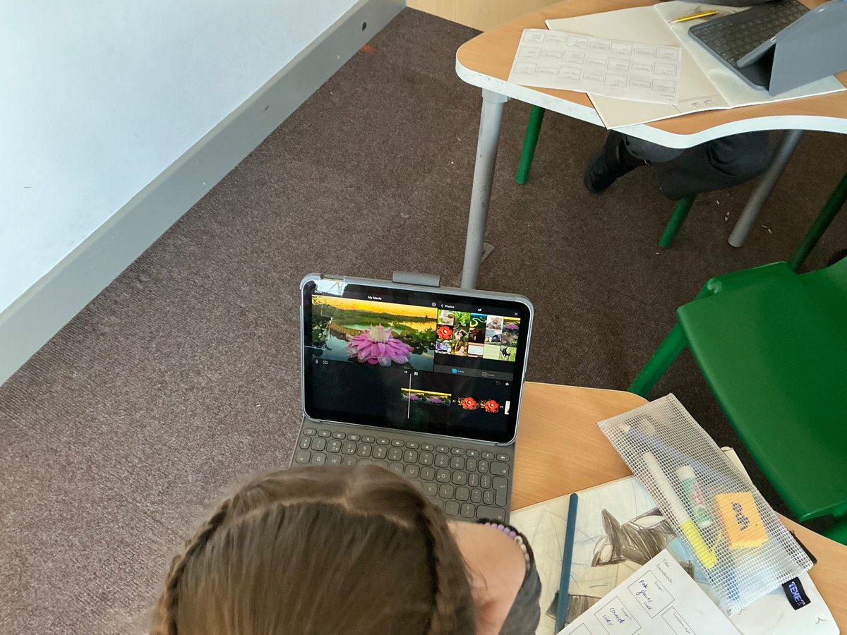 Pine Tree Class tweet media