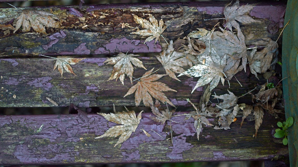 ian gordon craig tweet media