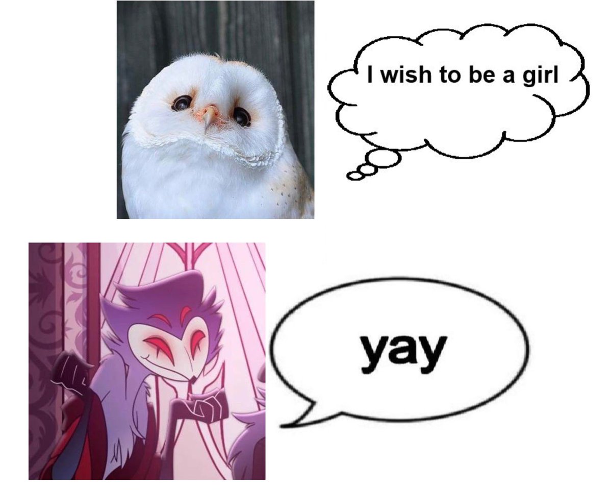 🔞a good “boy” (lesbian)🔞 tweet media