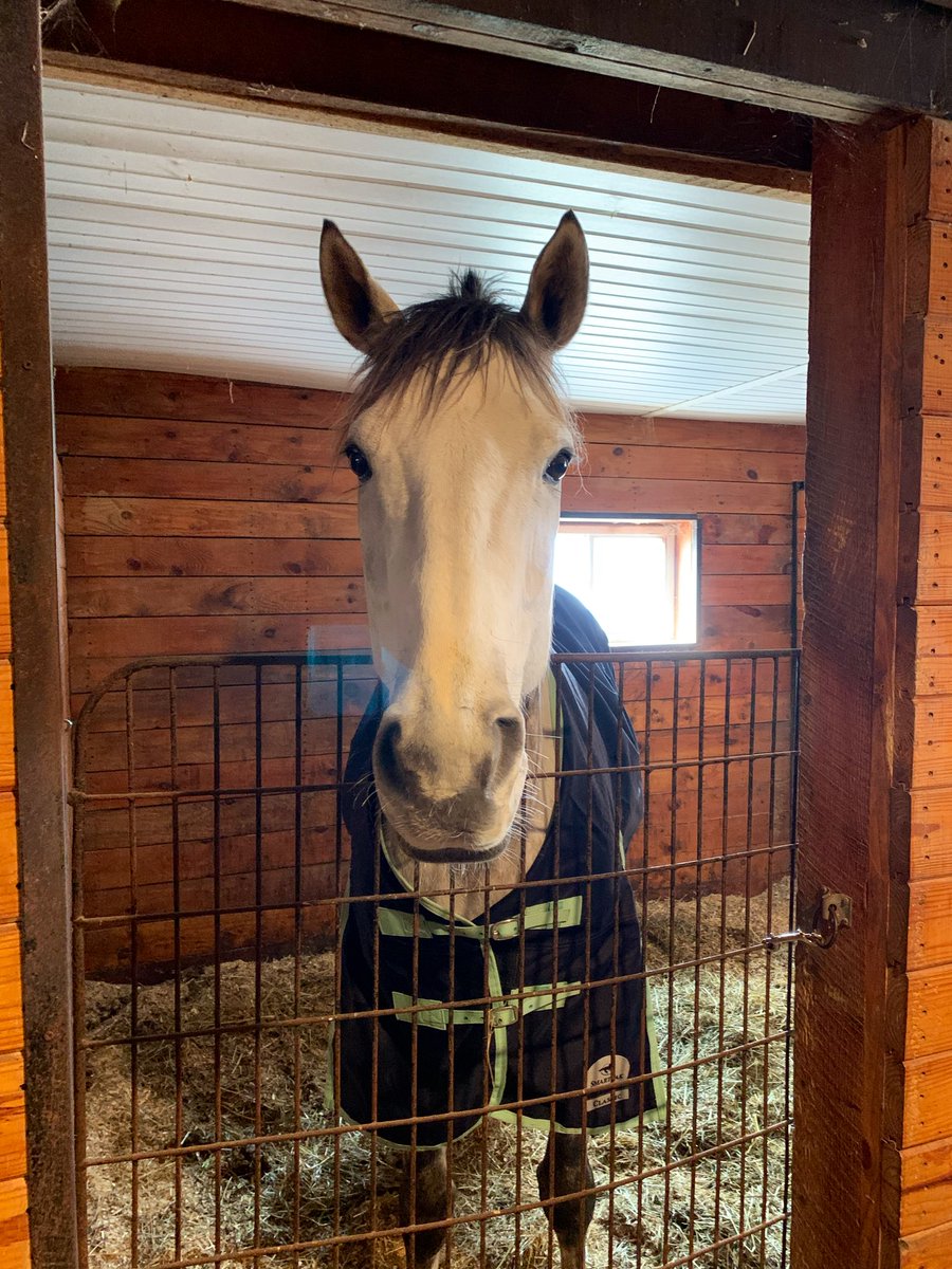 Sherrie Courtney tweet media