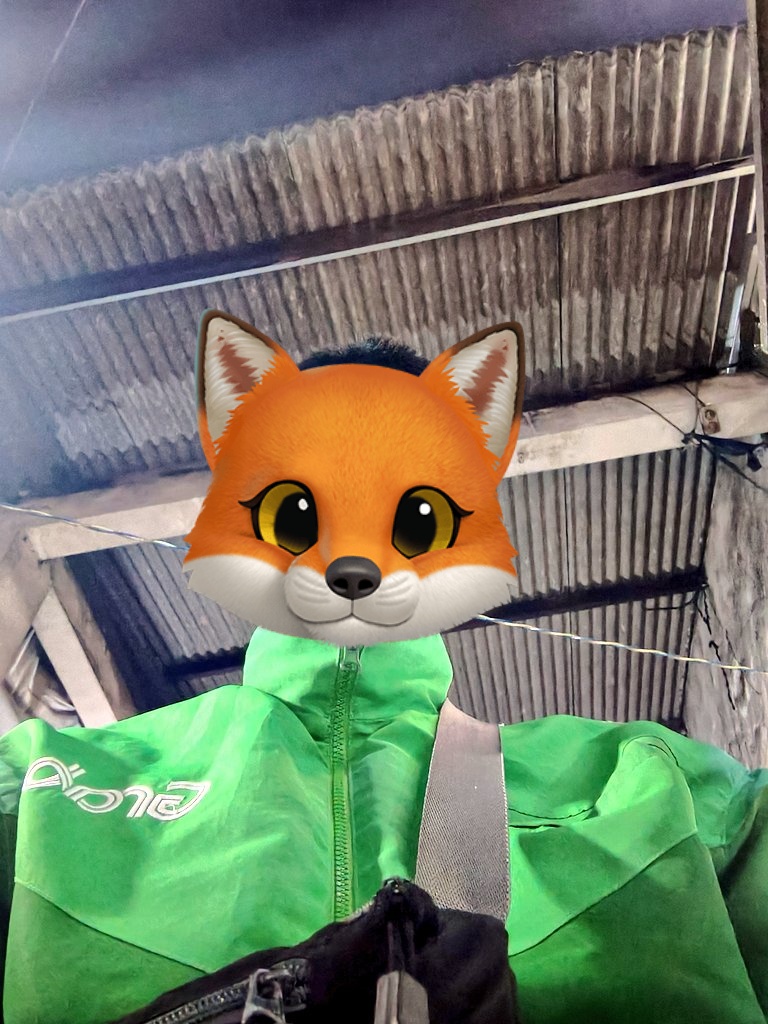 ardi🦊 tweet media