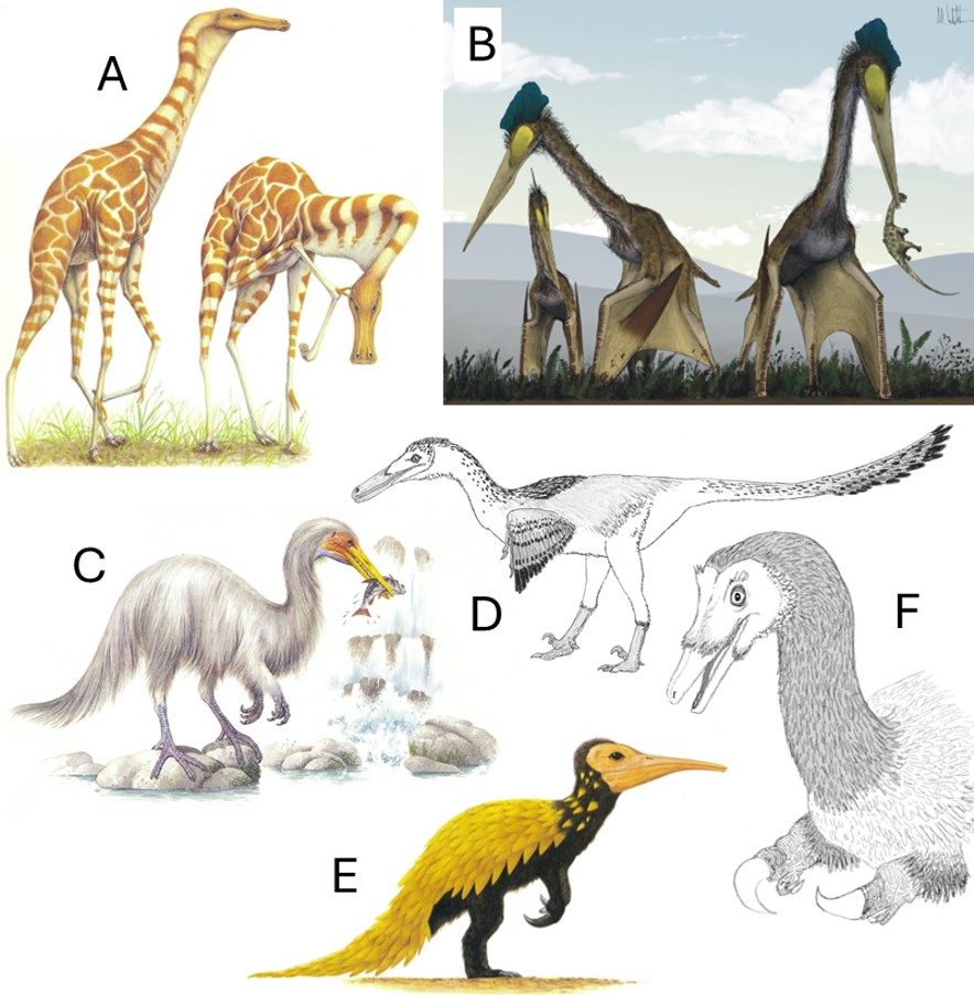 Darren Naish tweet media