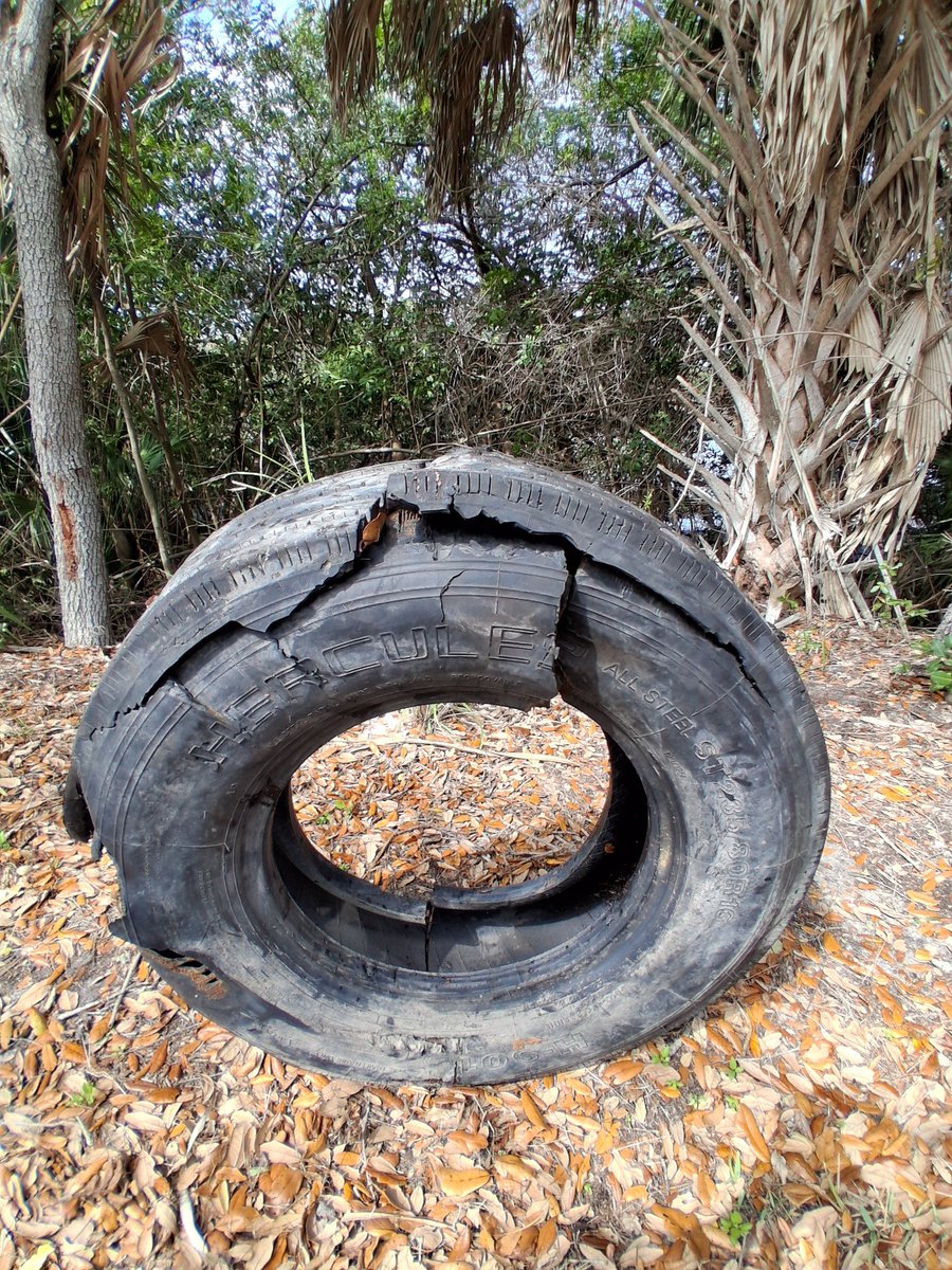 TommyPicsUpTrash tweet media