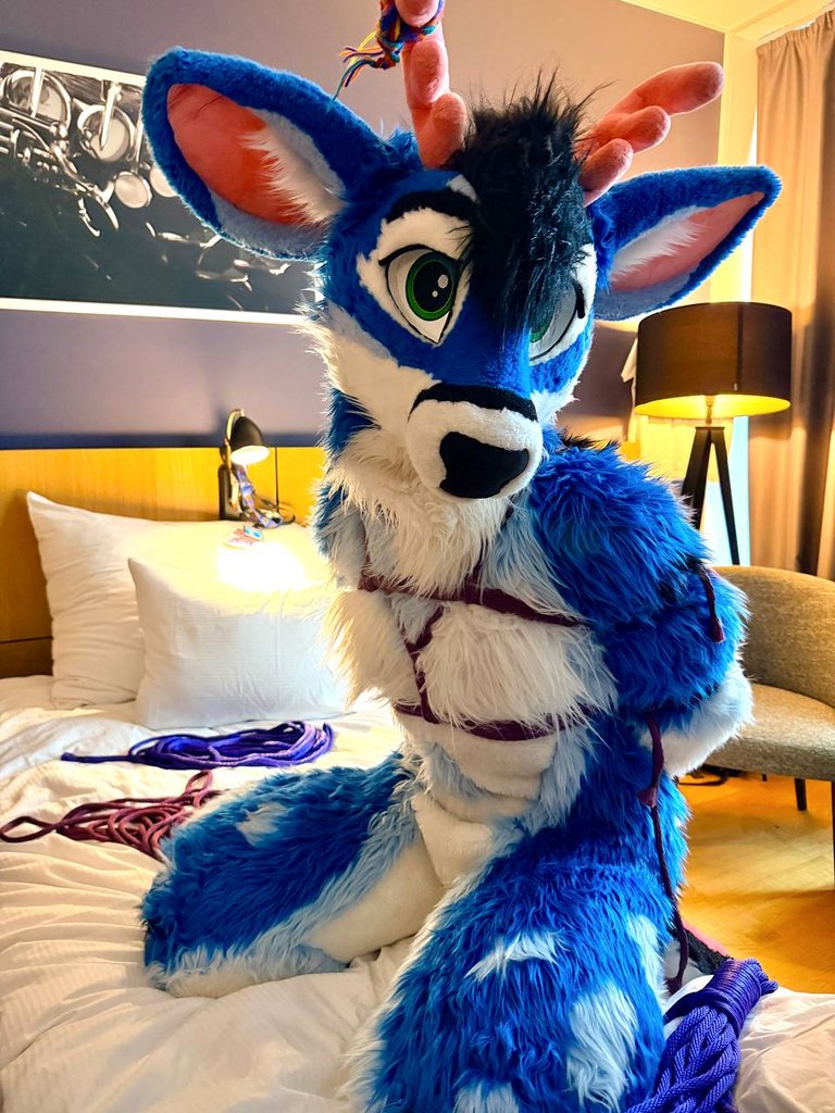 🇺🇦 Chee Rope Adventures 🇺🇦 tweet media