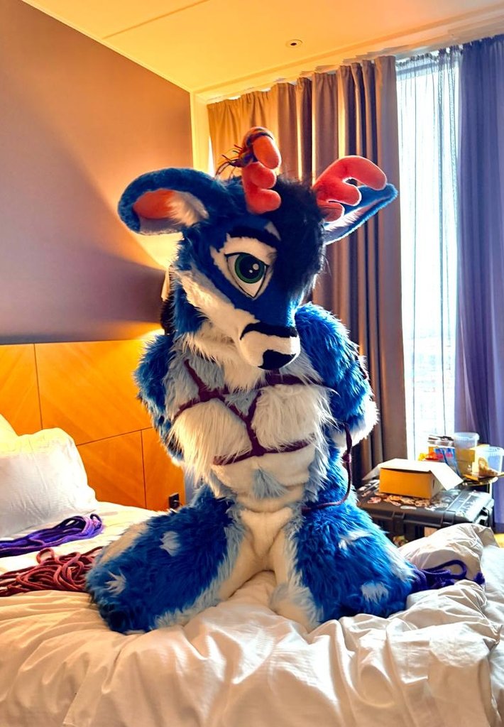 🇺🇦 Chee Rope Adventures 🇺🇦 tweet media