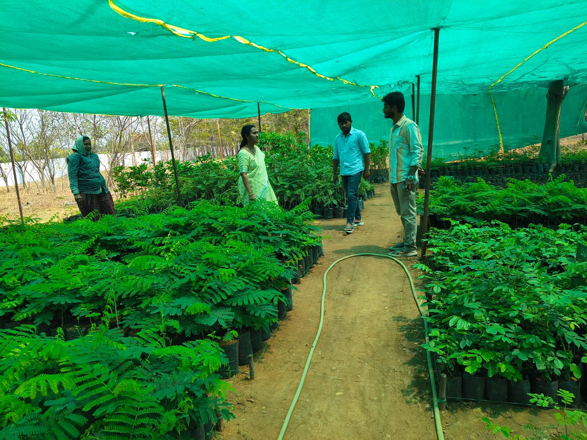 devaki devi tweet media