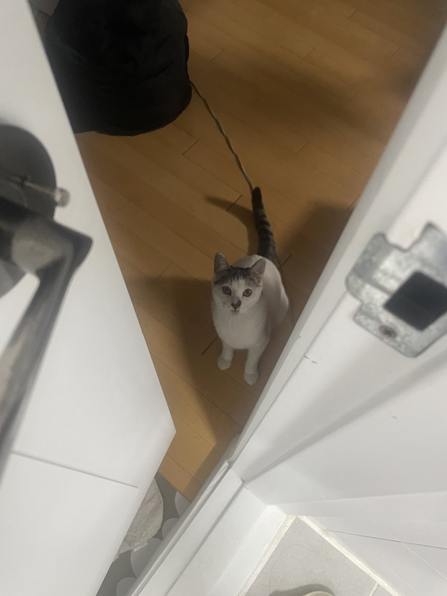 강순대 tweet media