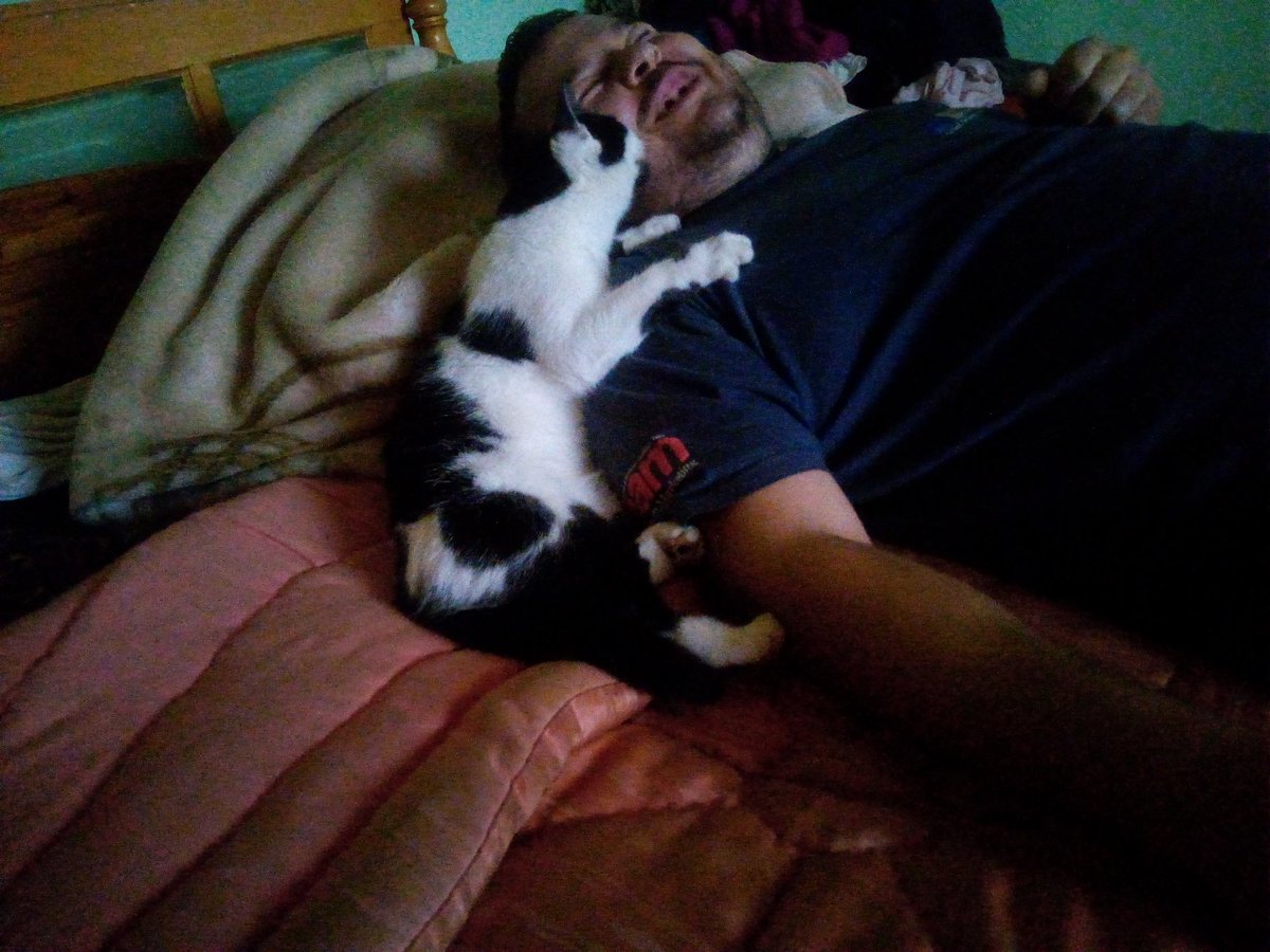 Muller Alexandru tweet media