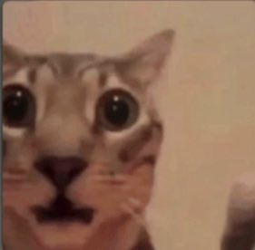 🛸🌍💕®️ tweet media