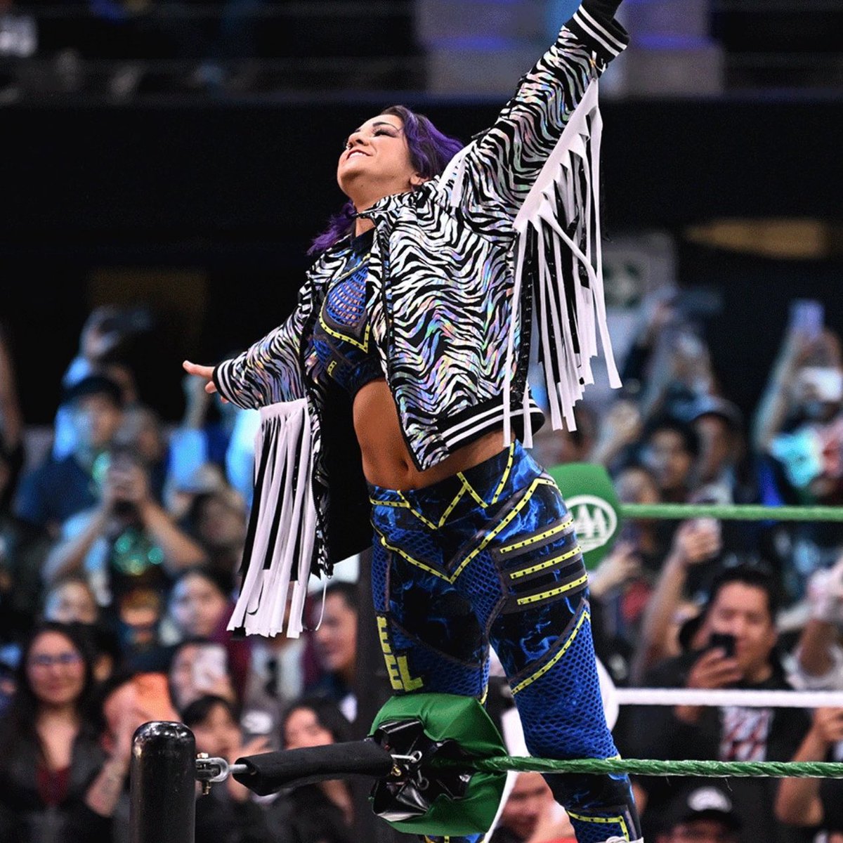 Planeta Wrestling tweet media