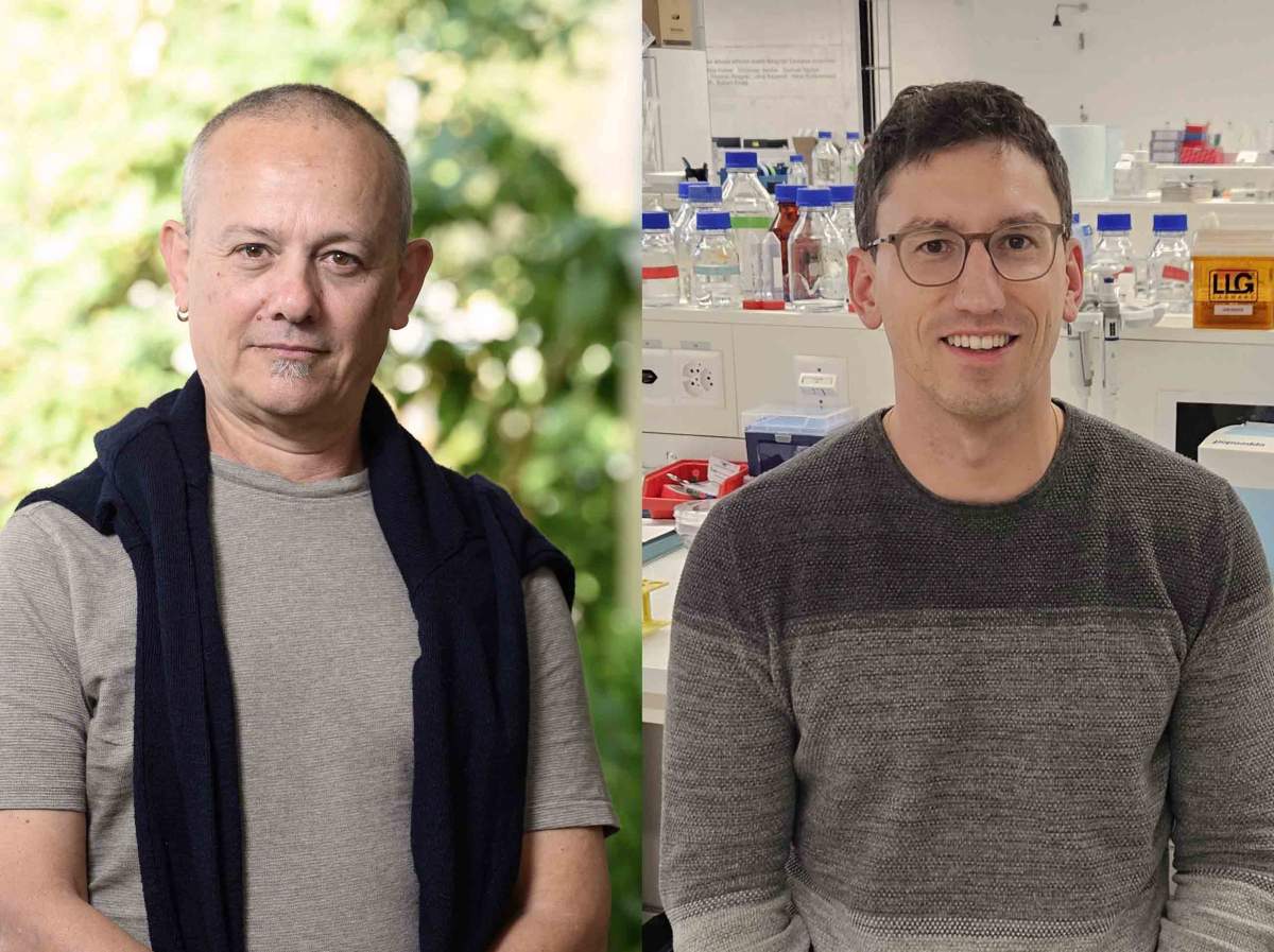 Weizmann Canada tweet media