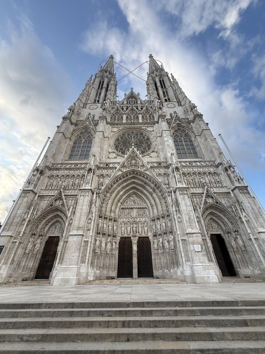 ELVIKINGONEGRO tipster tweet media