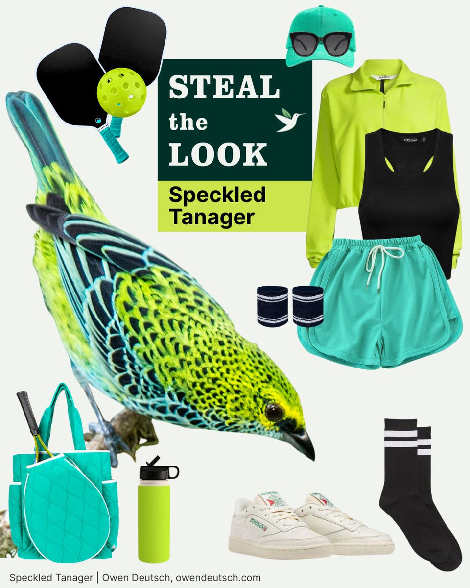 American Bird Conservancy tweet media