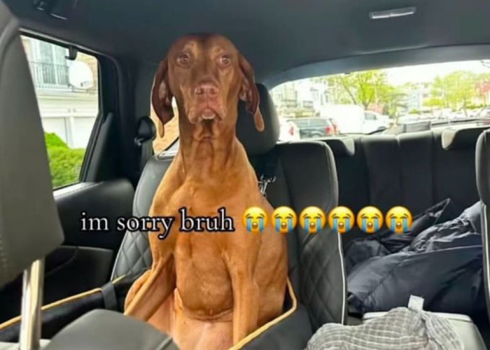 Caterpillar tweet media