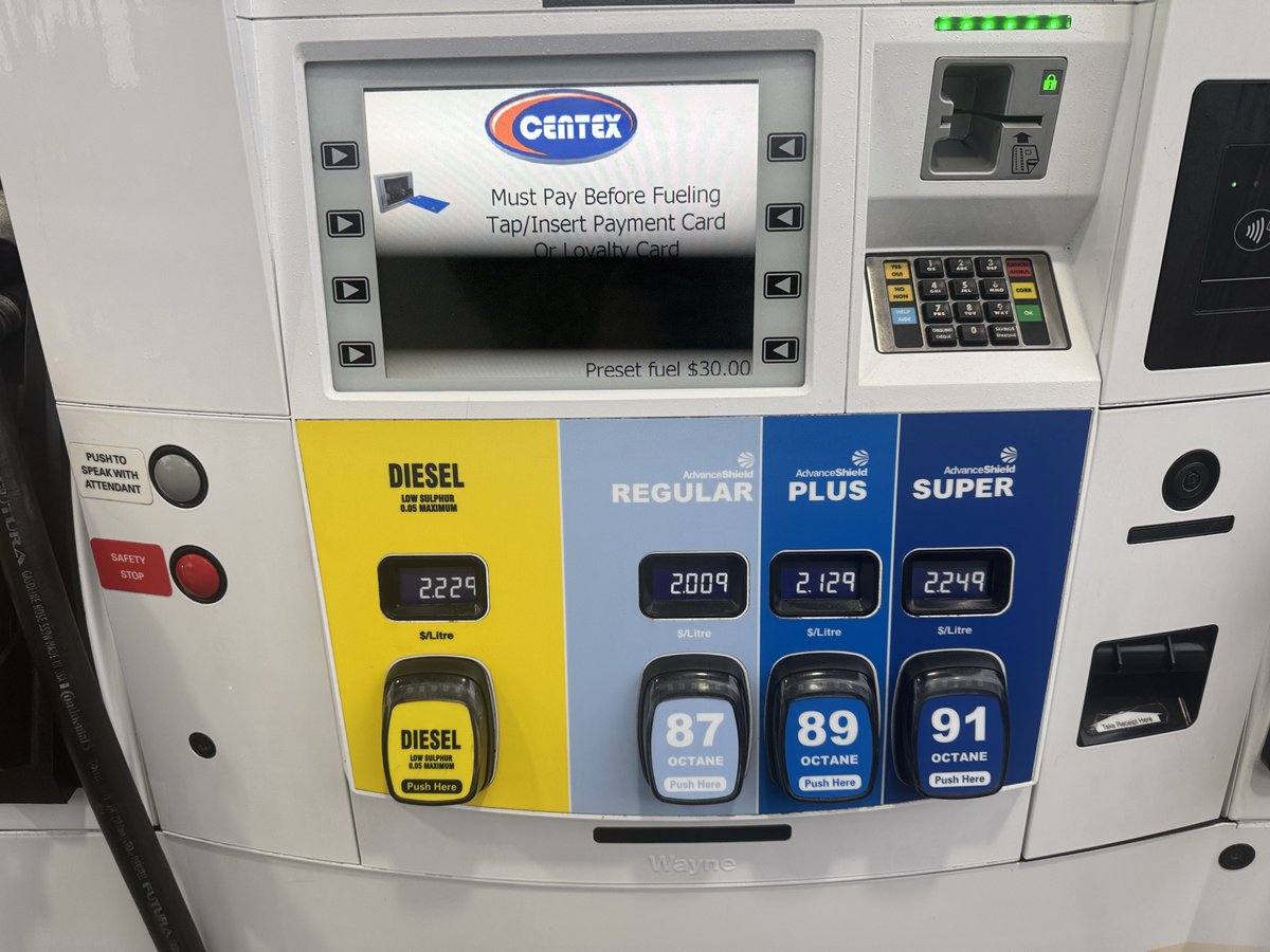 Brattani tweet media