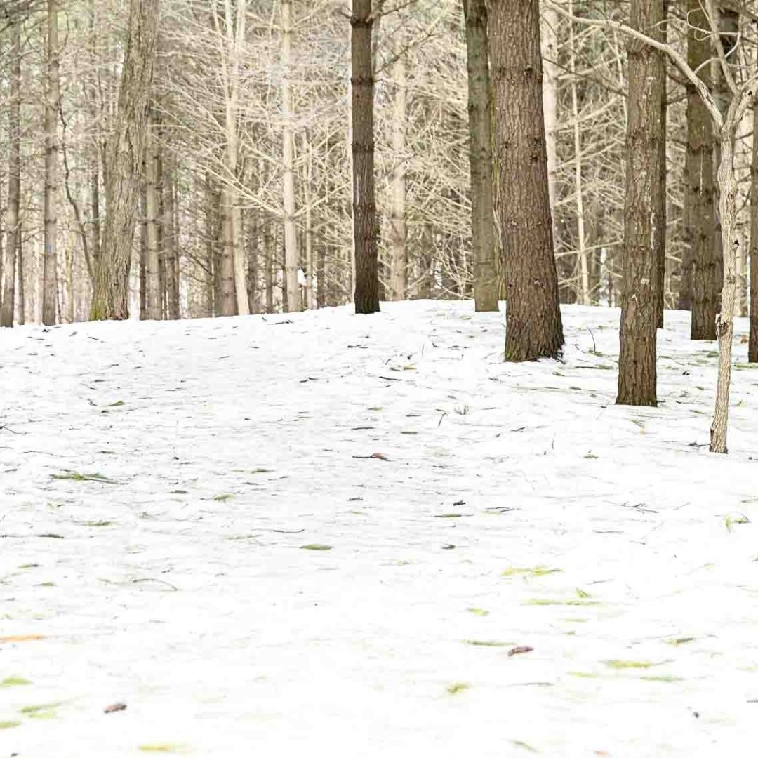 Community Edition tweet media