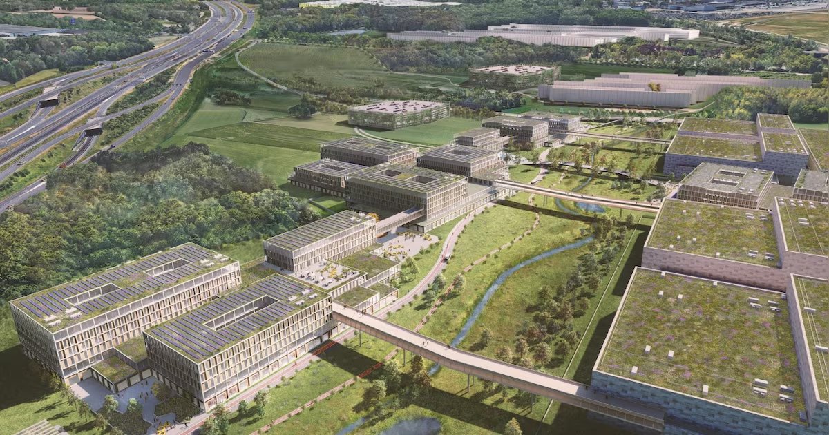 The Dutch Investors 🦁 tweet media