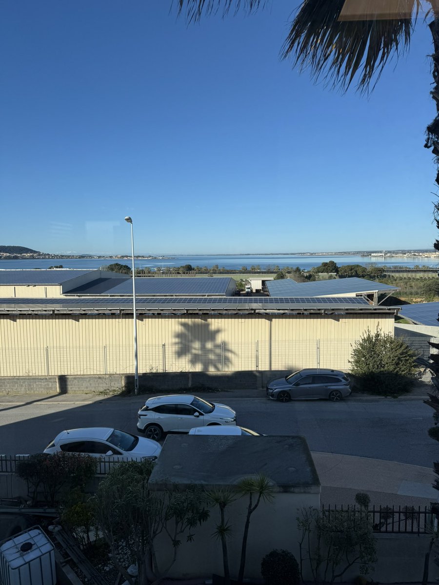 BigDaddyBarbu🧔🏻 tweet media