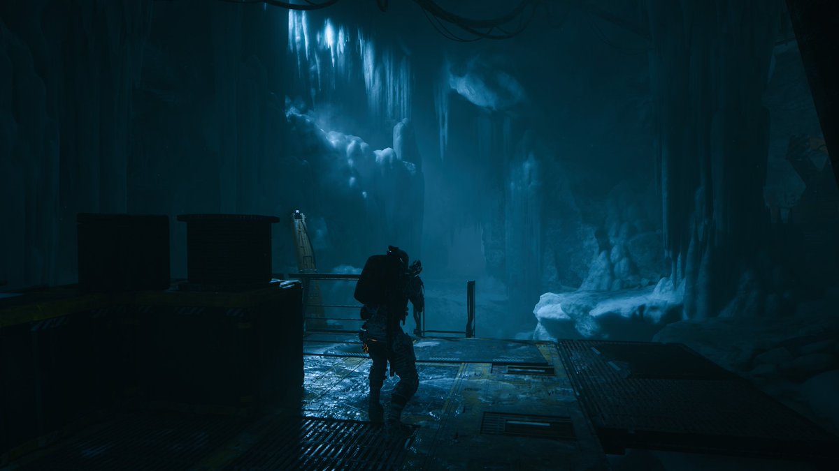 Viridy🦝 tweet media