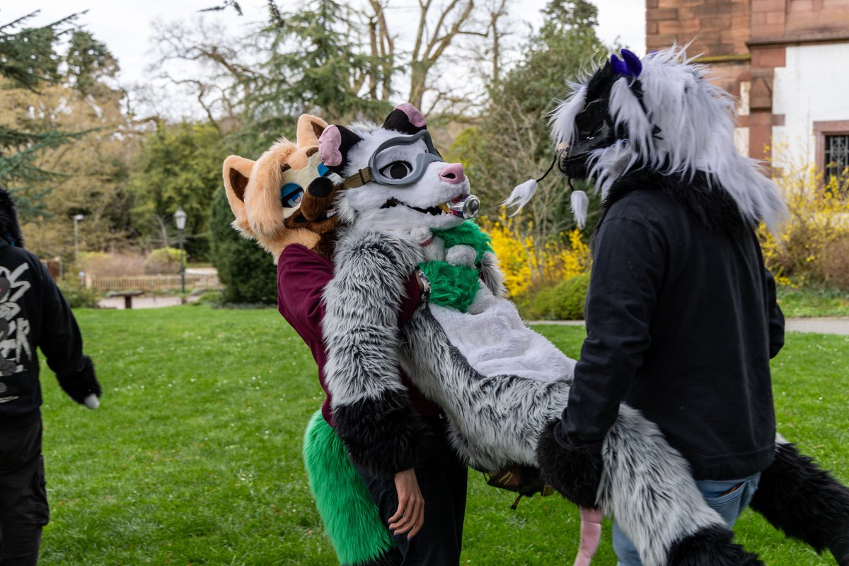 Programmausfall tweet media