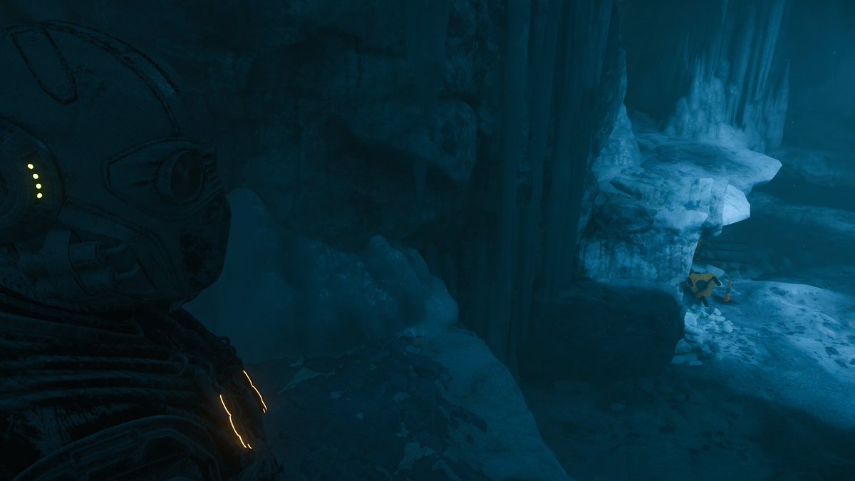 Viridy🦝 tweet media