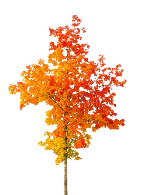 Eric Giammusso tweet media