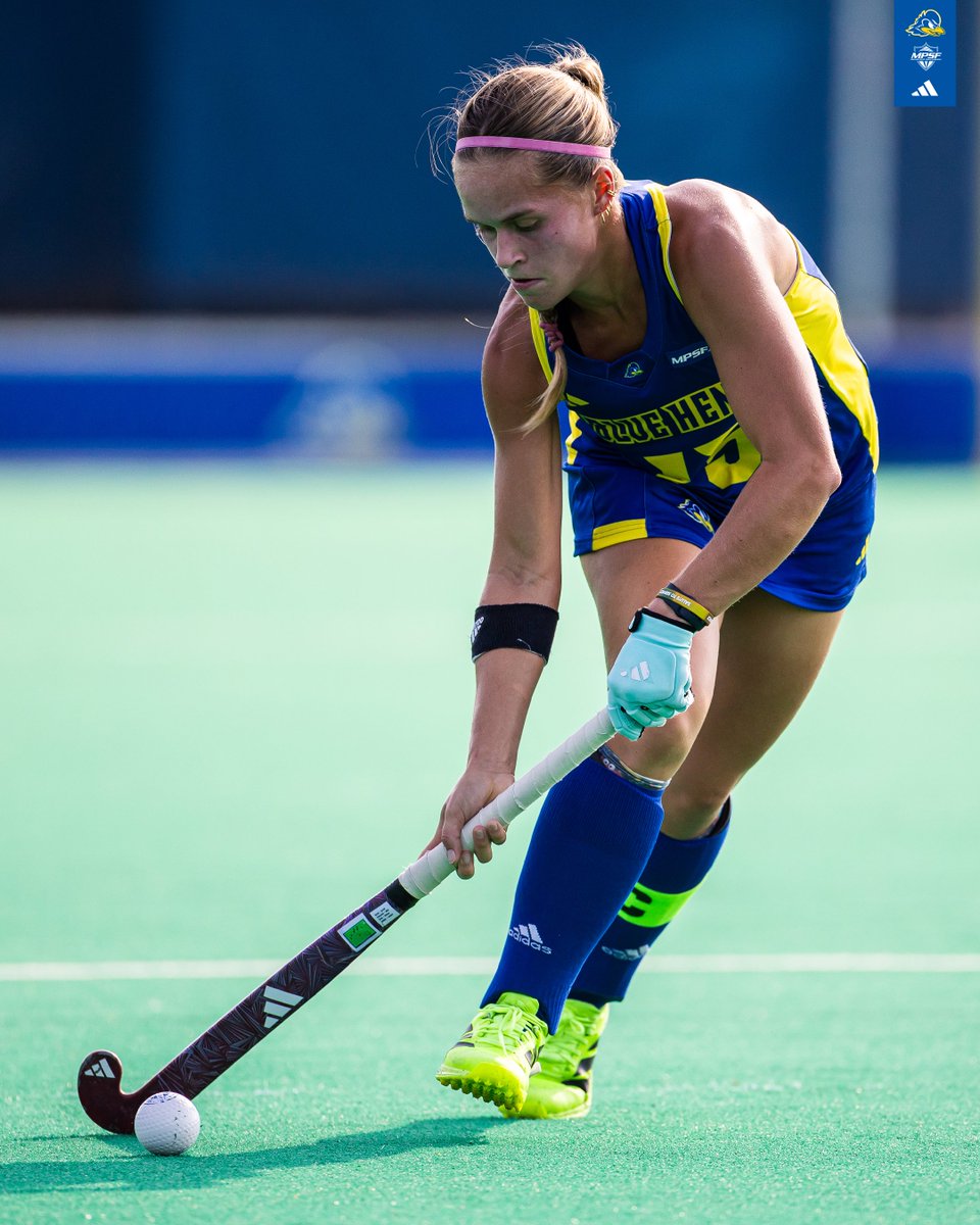 Delaware Field Hockey tweet media