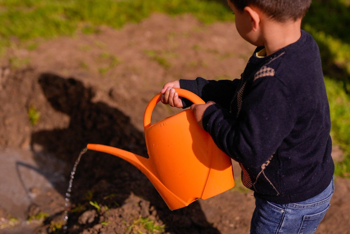 José A Mtnez Páramo tweet media