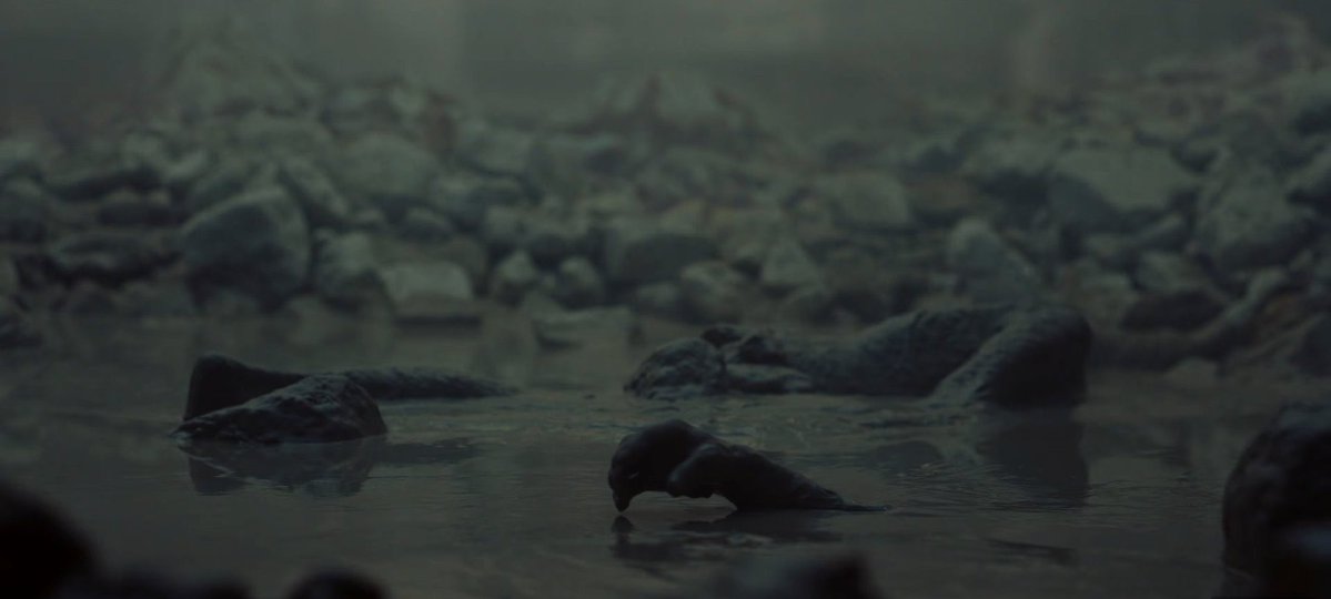 Aidan al Gaib 🎥🎨 tweet media