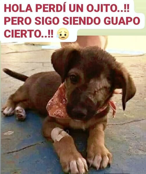 Ainoa_edith's tweet photo. https://t.co/nM5b0sw2hE