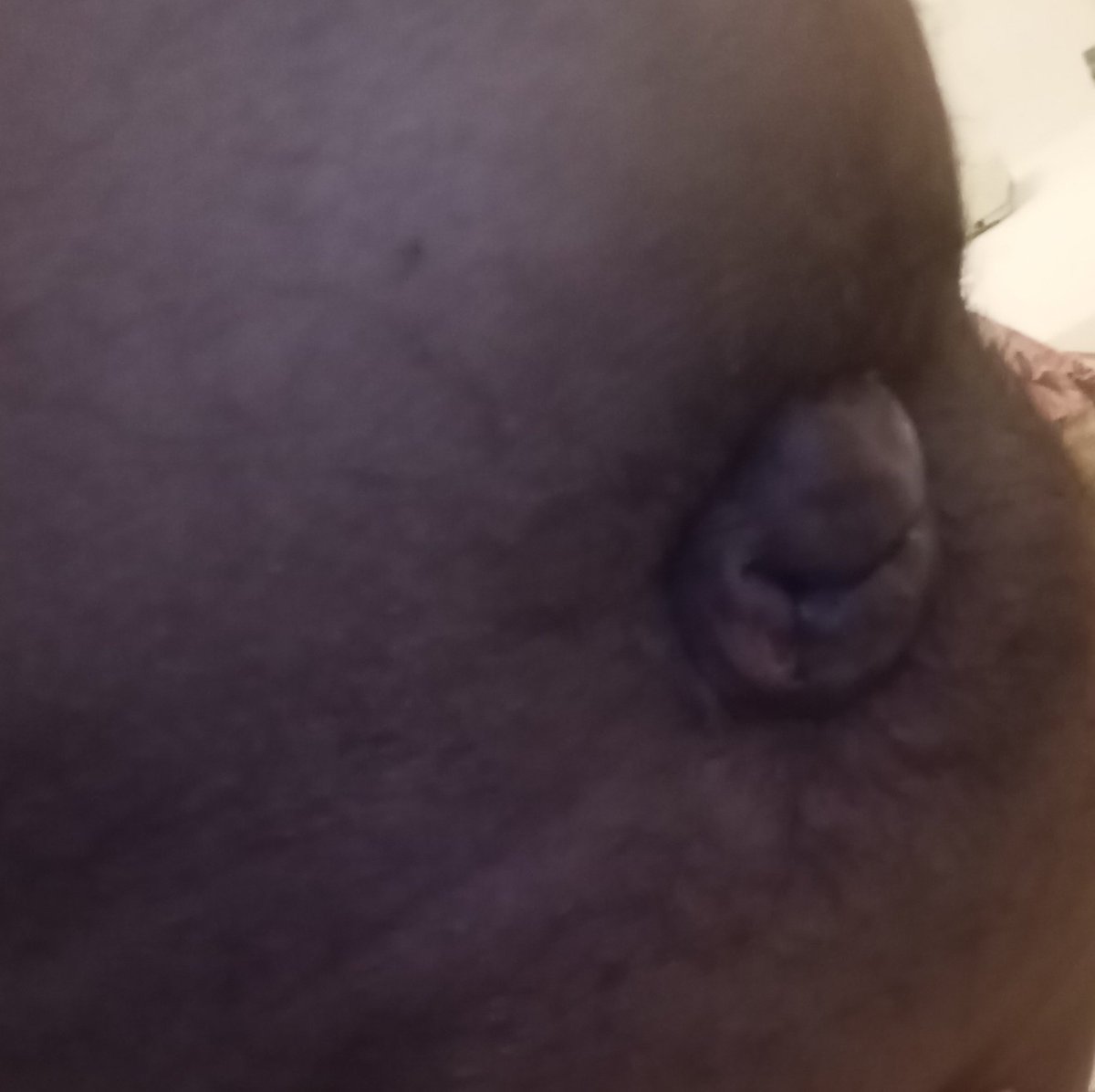 IteadJ's tweet photo. @matteoabn @GayAmateursProd @Itabigcocks @BoysItalian @secretlifeboys @ManziXL @macelleria2_0 https://t.co/DEeuN0Mj6T