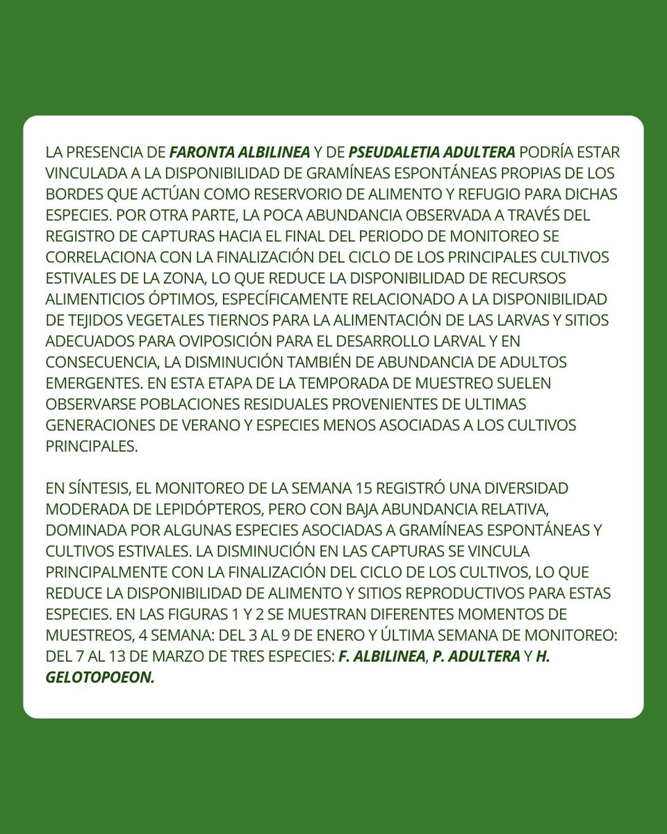 CRIATAOficial's tweet photo. Continuamos con el informe semanal del registro de capturas de lepidópteros plaga asociados a cultivos agrícolas mediante trampa de luz 🦋

👉 Desde el 7/3 hasta el 12/3 del 2026

[Sigue en comentarios] https://t.co/ET6rQZ4T7a