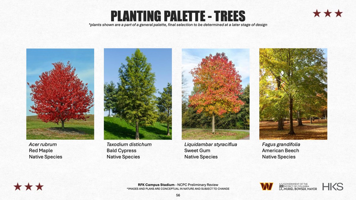 Mayor Muriel Bowser tweet media