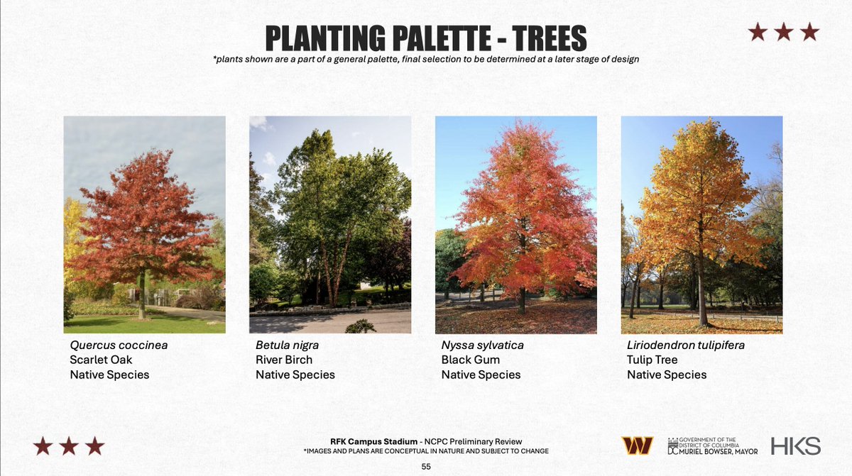 Mayor Muriel Bowser tweet media