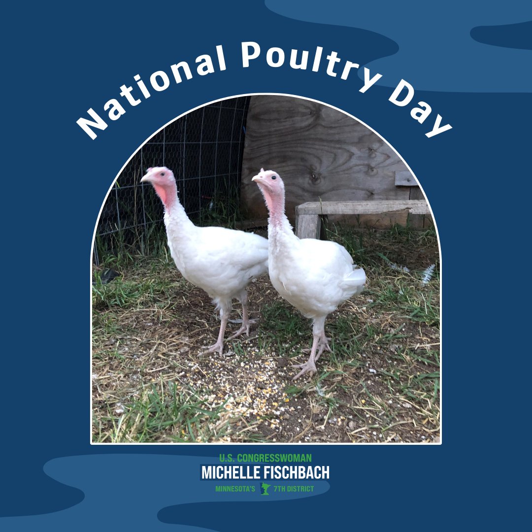 Rep. Michelle Fischbach tweet media