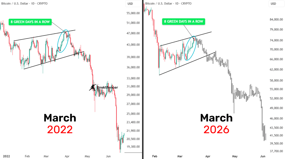 Rekt Fencer tweet media