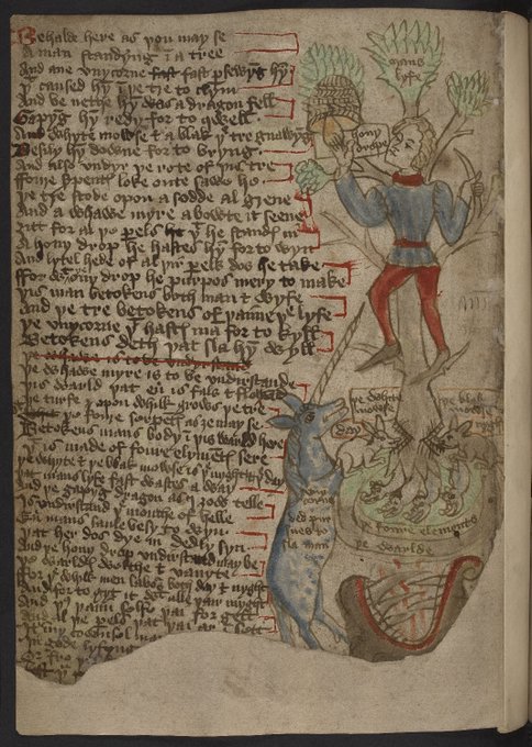 Kathleen McCallum tweet media