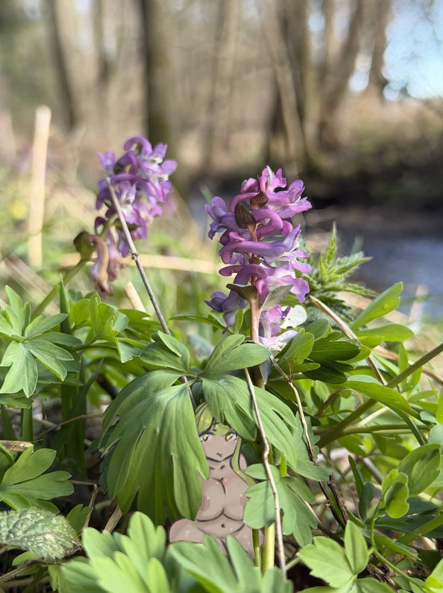 Even District tweet media