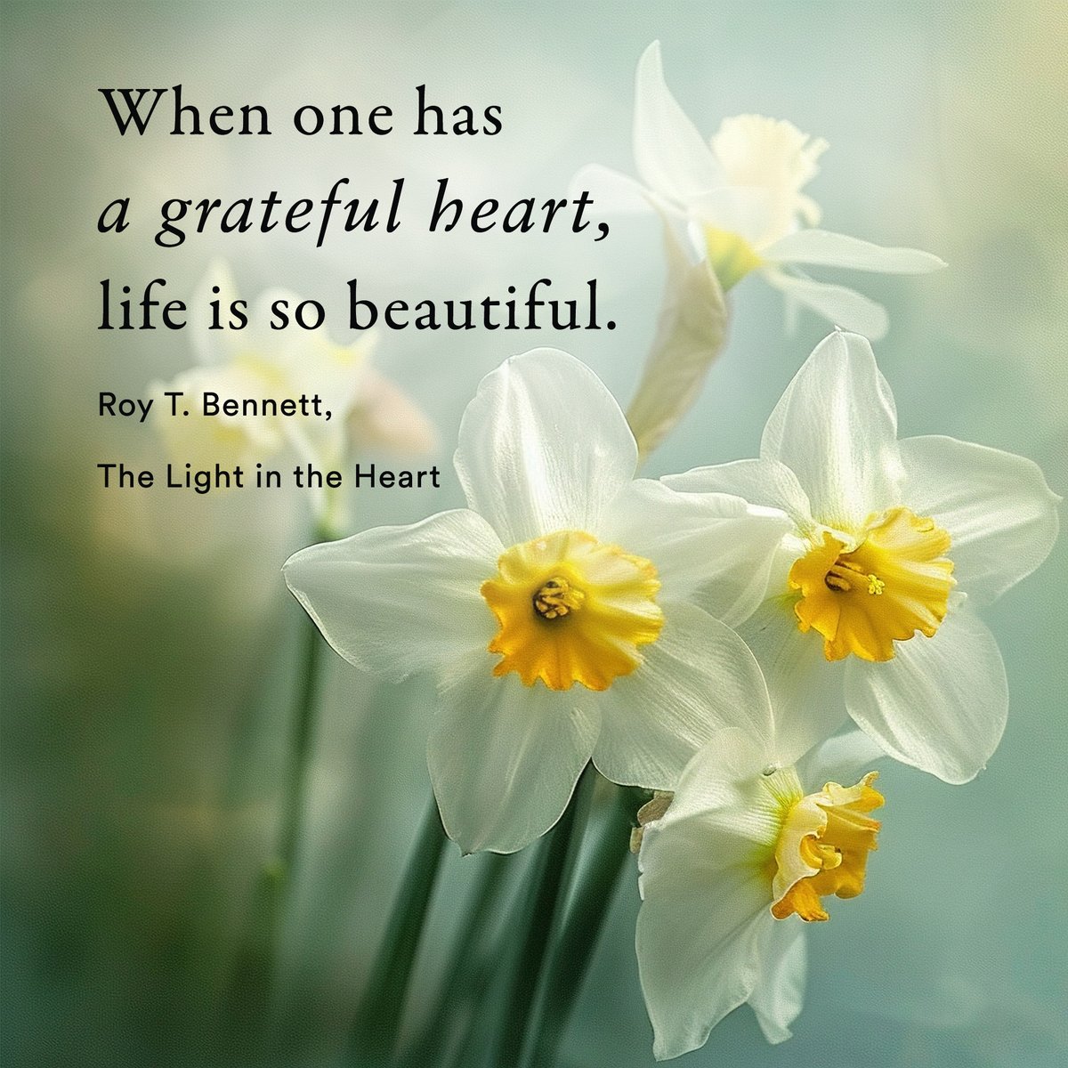 InspiringThinkn's tweet photo. When one has a grateful heart, life is so beautiful.
Roy T. Bennett, The Light in the Heart https://t.co/bL4kEsSwCd