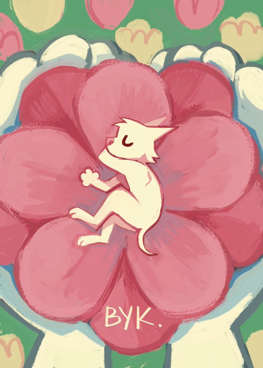 vuk 🕊 tweet media