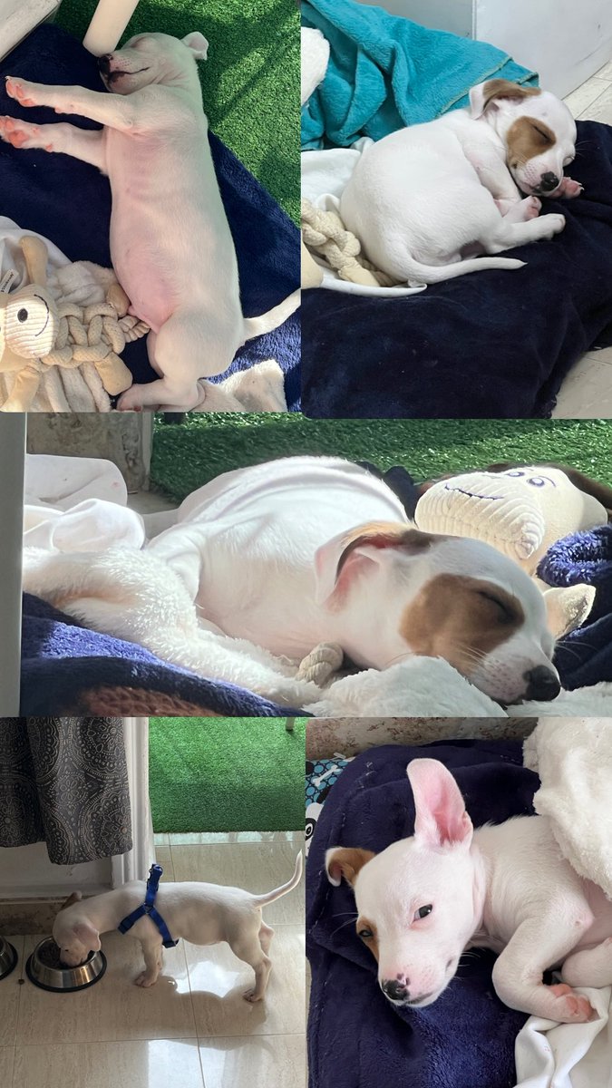 Mabec 🎨 Ilustradora Digital tweet media