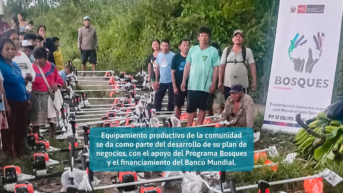 Programa Bosques tweet media